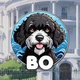 Barrack Obama’s Dog - BO Announcement