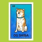 OG SHIBA