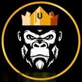 👑King Kong-$KONG👑