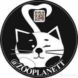Кошачьи истории....🐾