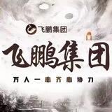 飞鹏历险记