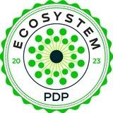 PDP EcoSystem | Ezgulik yo’lida zamonaviy ta’lim!