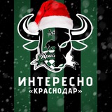 Интересно | «Краснодар»
