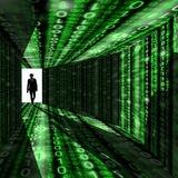 Real Matrix World