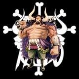 Kaido カイドウ ERC20