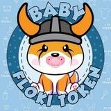 Baby Floki Token
