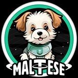MALTESE USDT 🐾🐶[ Target Mexc , Gateio, Kucoin, LBank ]