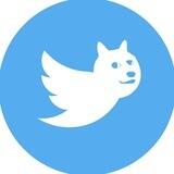 TwitterDoge - Entry