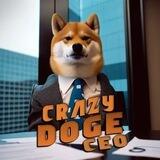 Crazy Doge CEO • 3/5% Tax • Renounced
