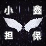 小鑫担保公告
