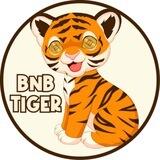 BNB TIGER