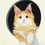 猫哥📱 全天70U起 课结