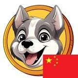 Husky inu China 🇨🇳