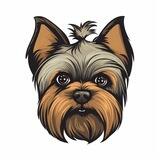 Hobbes | Community