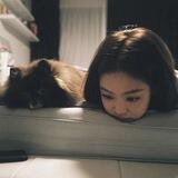 mandu XD