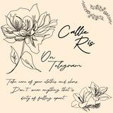 Callieris; KLUS