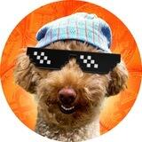 Poodlewifhat Portal