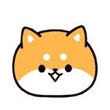 Shiba Cat Portal