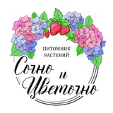 Сочно и Цветочно. Питомник растений