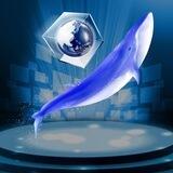 （Whale）鱼鱼Q推单价（100一单）