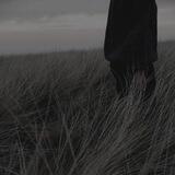 cold wind