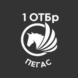 «ПЕГАС» — рота ударних БпАК 1ОТБр