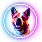 CRAZY DOG || PORTAL
