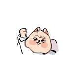 이치의 집