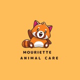 OPEN | MOURIETTE ANIMAL CARE