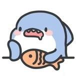 交流