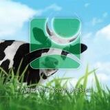 蒙牛福利频道【仅供娱乐】