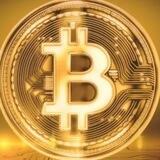 Bitcoin Community Notes Portal
