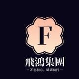 飞鸿集团