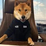 Floki ceo 420
