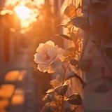 🍂 مجله ادبی نغمه خوان 🍂