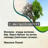 Қалбдан чиққан сатрлар(Ризаева Саидахон)
