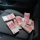 粉色豹项目群