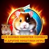 Блог / Blum 🙃 Hamster combat влог