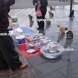 мемология