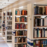 Der Bücherwurm