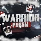 WARRIOR PUBGM