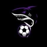 MaCh Goal