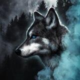 🐺头集团（收贷款粉）