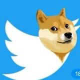 Twitterdoge coin