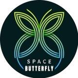 Space Butterfly