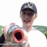 Жизнь пиздюшки и поноса