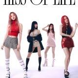KISS OF LIFE | SUPPORT
