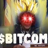 $BITCOM 0/0 LIQ BURNED