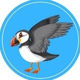 Puffin Global News
