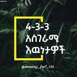 4-3-3 አስገራሚ እውነታዎች ግሩፕ